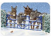 Donkeys and Robin at the Fence Kitchen or Bath Mat 24x36 ASA2210JCMT