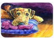 Airedale Terrier Teddy Bear Mouse Pad Hot Pad or Trivet 7345MP