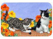 Kittens on Wall Glass Cutting Board Large ASA2201LCB