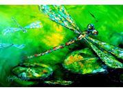 Dragonfly Summer Flies Fabric Placemat MW1114PLMT