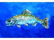 Fish Headed Downstream Fabric Placemat MW1124PLMT