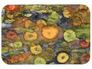 Abstract with Mother Earth Kitchen or Bath Mat 24x36 8966JCMT