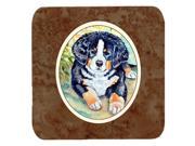 Set of 4 Bernese Mountain Dog Puppy Foam Coasters 7010FC