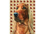 Irish Setter Fall Leaves Flag Canvas House Size LH9555CHF