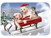 Dogs and Kitten in Sled Need for Speed Kitchen or Bath Mat 20x30 PTW2015CMT
