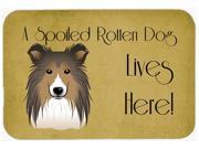 Sheltie Spoiled Dog Lives Here Kitchen or Bath Mat 20x30 BB1490CMT