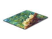 Turtle Mouse pad hot pad or trivet