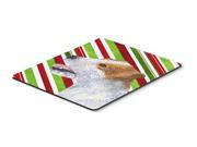 Jack Russell Terrier Candy Cane Holiday Christmas Mouse Pad Hot Pad or Trivet