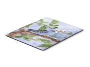 Bird Budgie Mouse Pad Hot Pad or Trivet