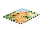 Lakeland Terrier Mouse pad hot pad or trivet