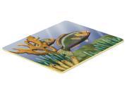 Undersea Fantasy 11 Kitchen or Bath Mat 24x36 PTW2036JCMT