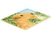 Lakeland Terrier Kitchen or Bath Mat 24x36