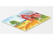 Old Red Cottage House at the lake or Beach Kitchen or Bath Mat 20x30