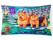 Norwich Terrier Decorative Canvas Fabric Pillow
