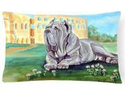 Neapolitan Mastiff Decorative Canvas Fabric Pillow
