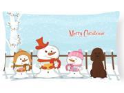 Merry Christmas Carolers Irish Water Spaniel Canvas Fabric Decorative Pillow BB2394PW1216