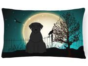 Halloween Scary Giant Schnauzer Canvas Fabric Decorative Pillow BB2256PW1216