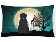 Halloween Scary Black Russian Terrier Canvas Fabric Decorative Pillow BB2216PW1216