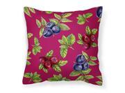 Berries Fabric Decorative Pillow BB5209PW1818