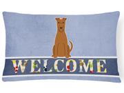 Irish Terrier Welcome Canvas Fabric Decorative Pillow BB5643PW1216