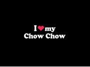 I love My Chow Chow Crested Custom Decal Sticker 7.5 inch