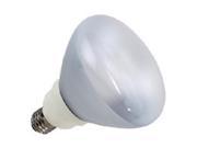 19 watt R40 Reflector CLF 2700K Bulb