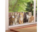 Watching Cats Window Cling Decal