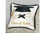 Class of 2017 Graduation Pillow