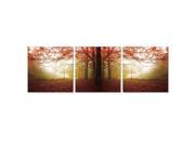 Furinno SENIC Autumn Leaves 3 Panel Canvas on Wood Frame 60 x 20 Inches