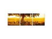Furinno SENIC Africa Sunrise 3 Panel Canvas on Wood Frame 60 x 20 Inches