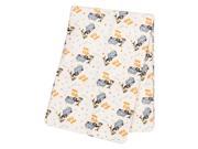 Dr. Seuss One Fish, Two Fish Deluxe Flannel Swaddle Blanket