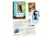 Baby Animals Wild Cards