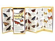 Common Butterflies Southeast