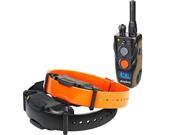 Dogtra 3 4 Mile 2 Dog Remote Trainer