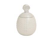 Ps Covered Shell Jar 8 Inches Width 11 Inches Height