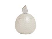 Ps Covered Shell Jar 8 Inches Width 9 Inches Height