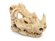 3½ L x 6 W x 5 Rhino Skull