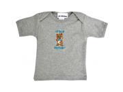 Grey Short Sleeve T Shirt Boy Bear 12 18 months