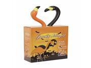 Bloem 2 Pack Spooky Flamingo 6 pack