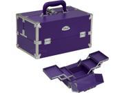 2 Tiers Expandable Trays Purple Vinyl Professional Makeup Beauty Train Case C3026