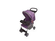 Convenient Stroller With Front Rear Tray