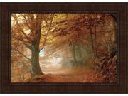Autumn Dream by Toni Vila