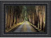 Tree Tunnel by Michael Cahill