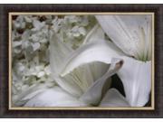White Lily by Bill Kellett