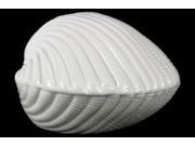 Ceramic Seashell Figurine Gloss Finish White