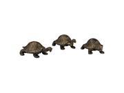Set of 3 Box Turtles