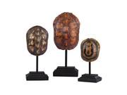 Set of 3 Turtle Shells on Stands