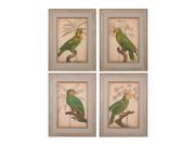 Parrot And Palm I II III IV Fine Art Giclee Under Glass