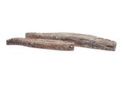 Zahara Wood Carved Crocodiles Set of 2