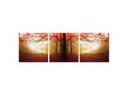 Furinno SeniA Wall Mounted Triptych Photography Prints Autumn Leaves Set of Three